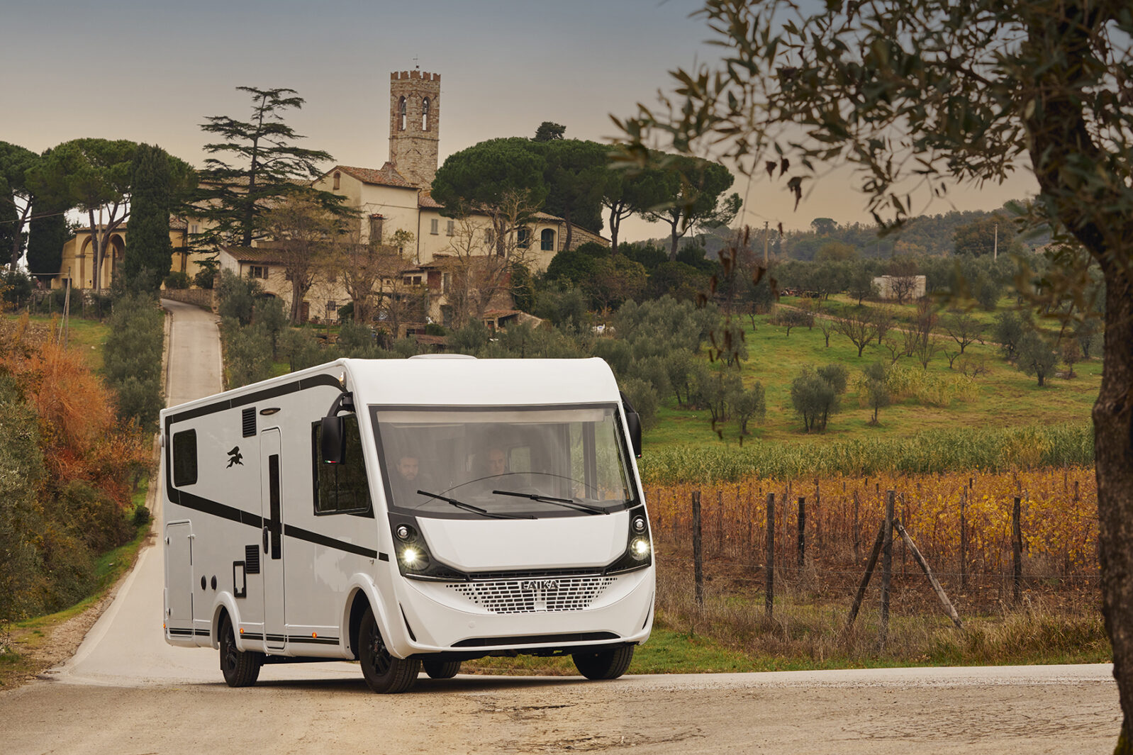 Laika-Kosmo-H1409-0253-1598×1065